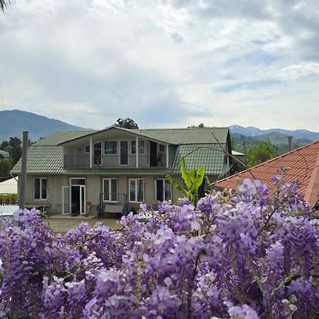 Гостевой дом Olga's Home Батуми Экстерьер фото