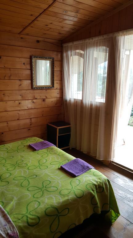 Гостевой дом Olga's Home Батуми Экстерьер фото