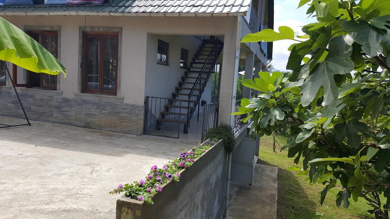 Гостевой дом Olga's Home Батуми Экстерьер фото