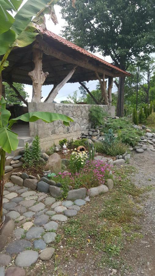 Гостевой дом Olga's Home Батуми Экстерьер фото
